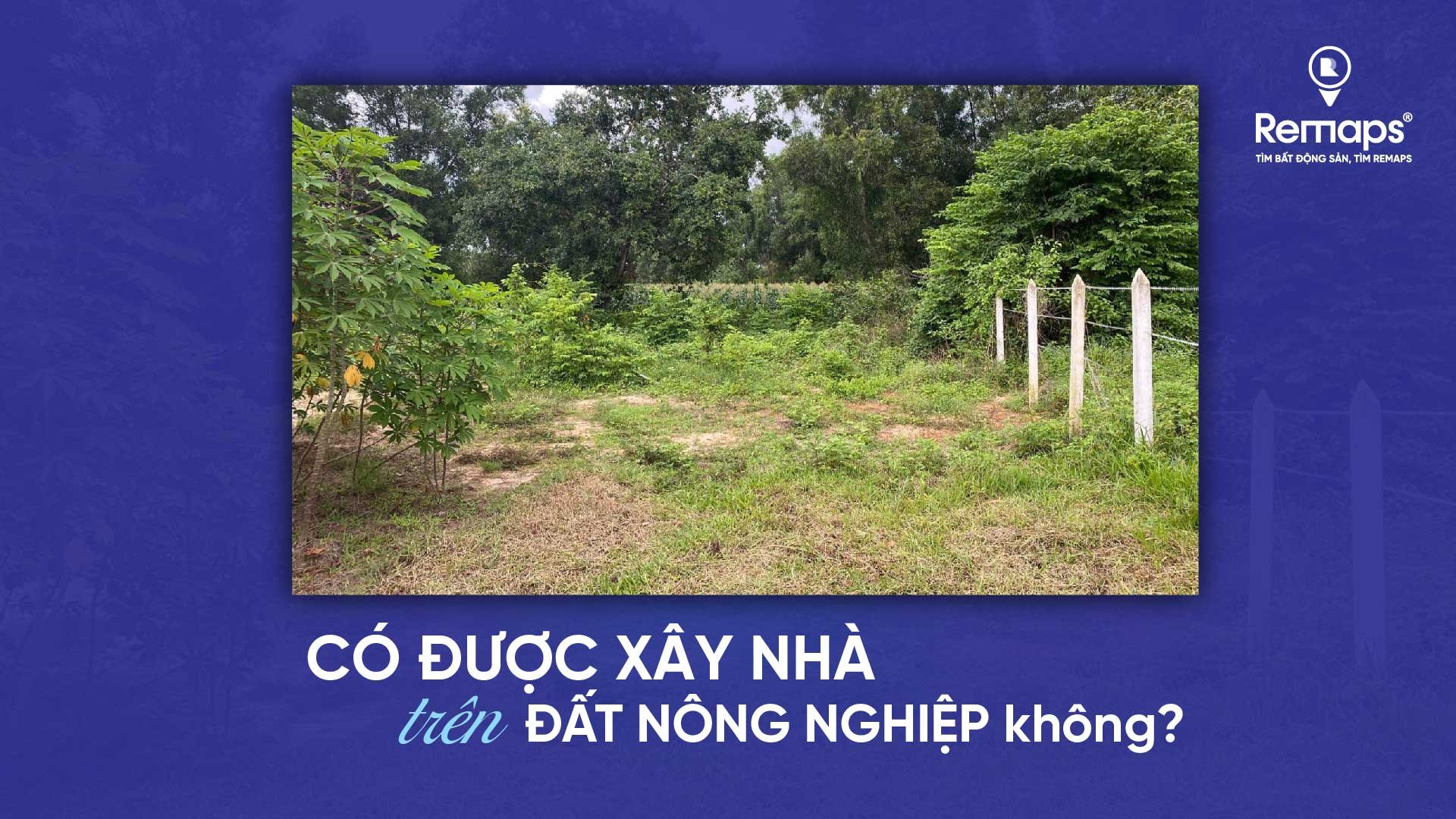 co-duoc-xay-nha-tren-dat-nong-nghiep-khong-news.remaps.vn